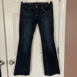 Vintage 2010 American Eagle LowRise Artist Flare Jean